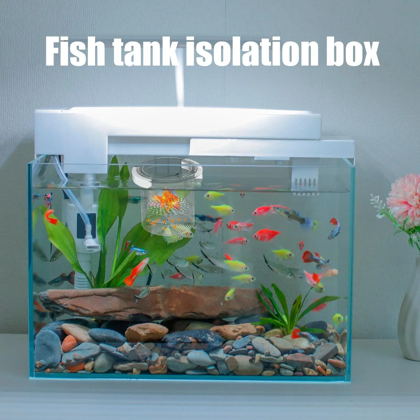 Fish Breeder Box Floating Aquarium Breeding Box Nursery Feeding Container Hatchery Incubator Divider for Betta Egg Fry Guppy