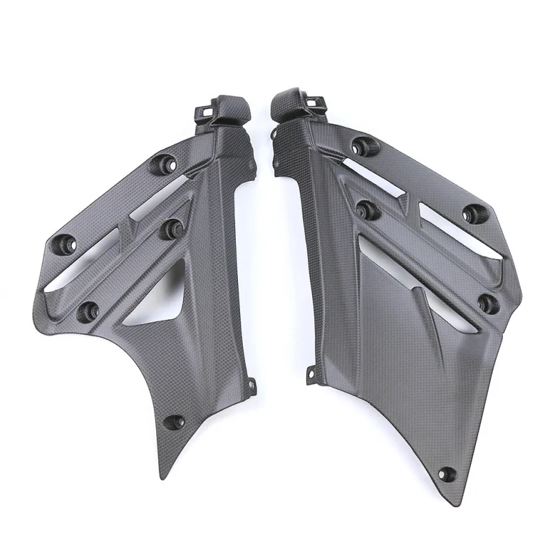 

Suitable Streetfighter V2 Modified Carbon Fiber Accessories Body Side Panels