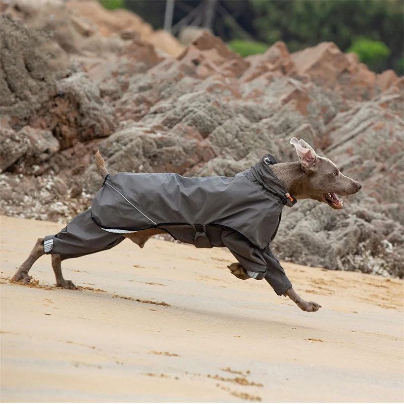 Imagem -06 - Prova Impermeável Água Cachorro Capa de Chuva Macacão para Cães Médio Grande Cabolsa de Chuva ao ar Livre Roupas Pet Filhote Cachorro Doberman Labrador Husky Jaqueta à