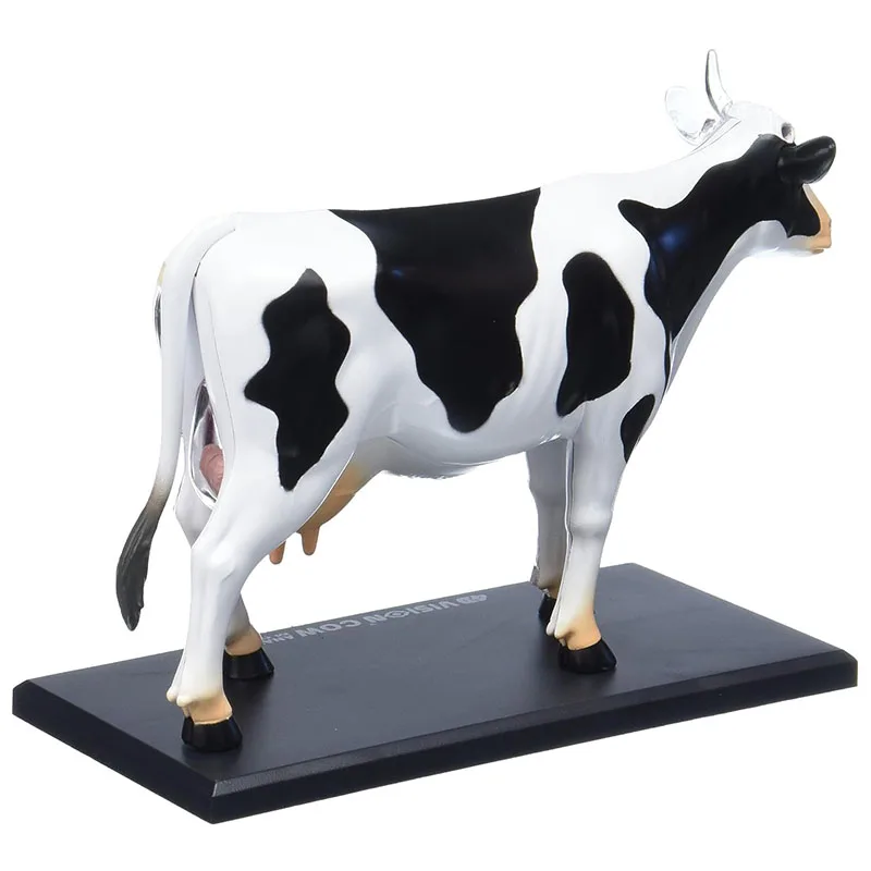 Tedco 4D Vision Cow Model Detachable Anime Organ Anatomy Model Medical Science School Supplies