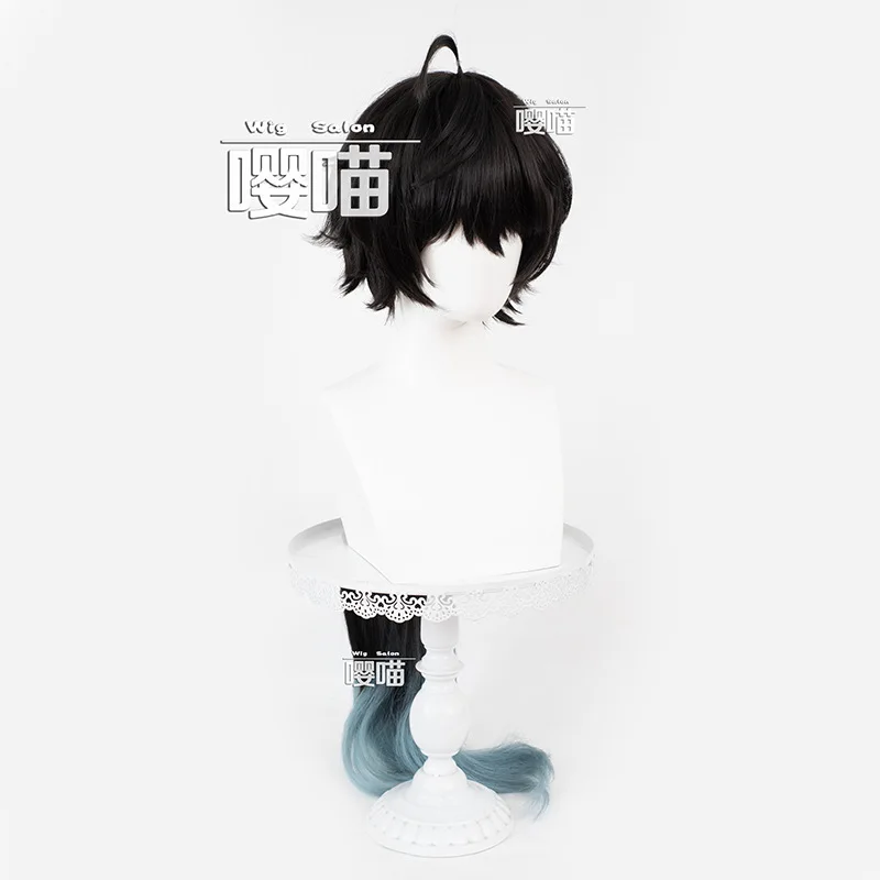 Game Honkai Star Rail Dan Heng Permansor Terrae Cosplay Wig Black Blue Long Hair For Women Men Halloween Wigs