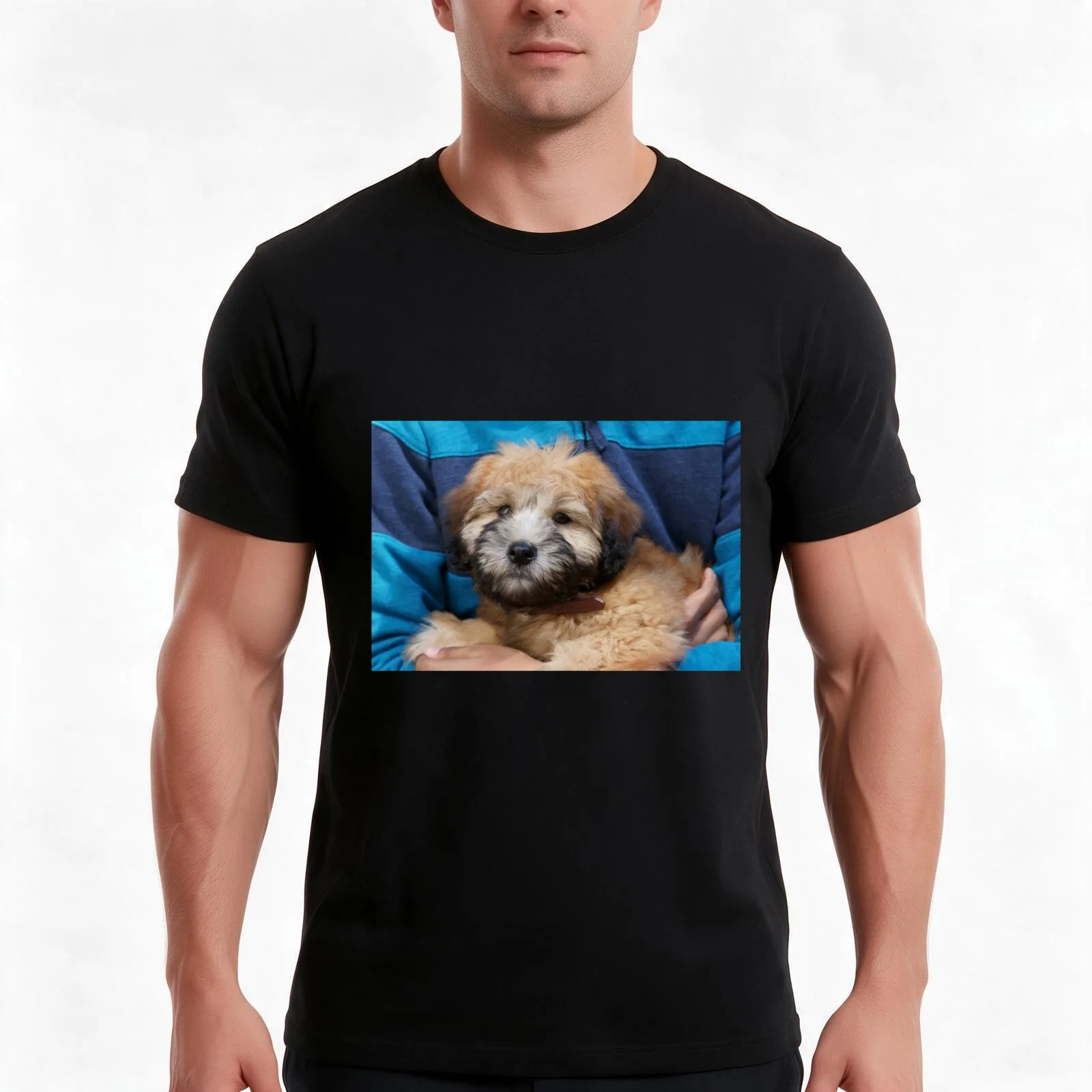 Soft coated Wheaten Terrier puppy dog. T-Shirt, Summer Casual Cotton Tee, Oversized Streetwear Tops, Vintage Graphic Print
