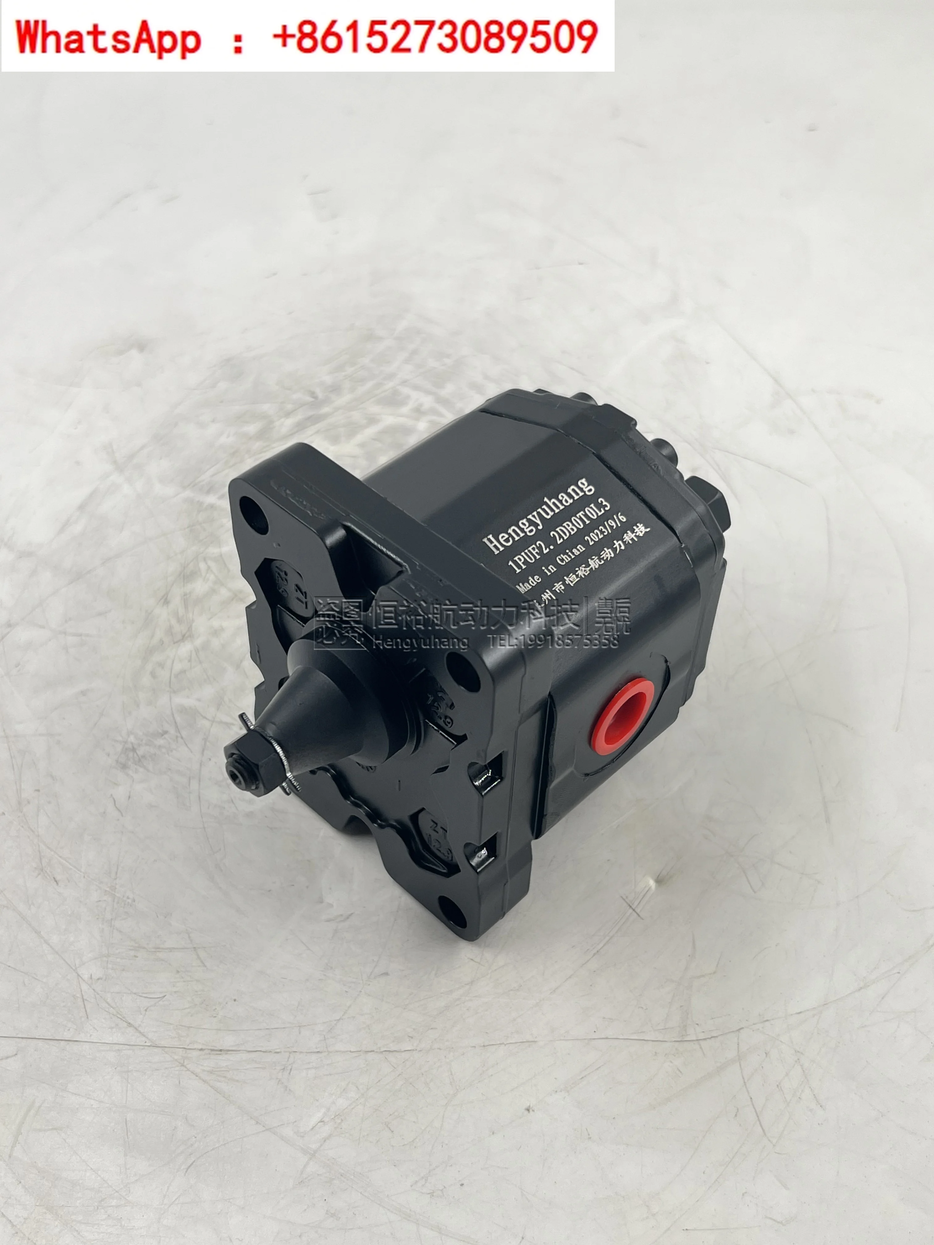 Hydraulic Pump PERMCO Gear Pump P5100-F63/F80/F100 High Pressure Cast Iron Hydraulic Oil Pump