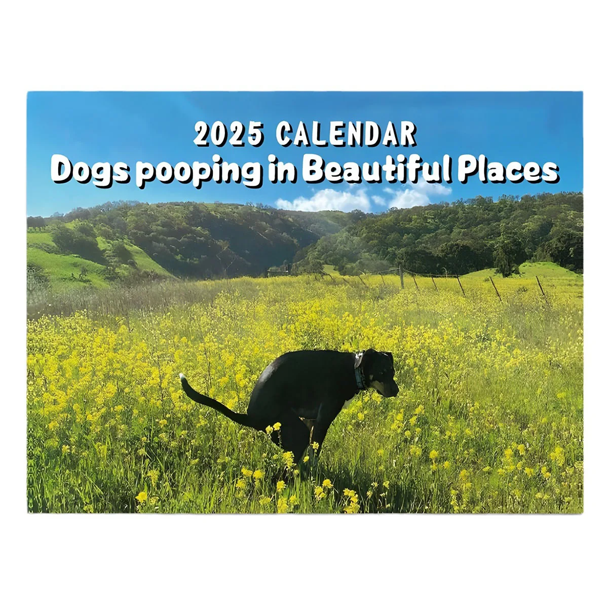 

Calendar 2025 Dogs Pooping In Beautiful Places Funny Gag Gifts Thick Paper Wall Calendar Holiday Christmas White Elephant Gifts
