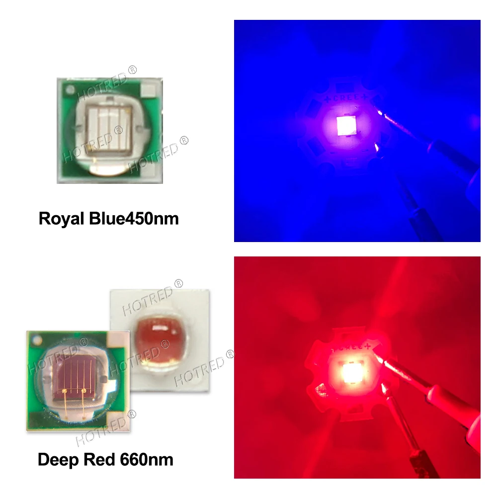 50pcs 3W LED XPE 3535 Photo Deep Red 660nm Royal Blue 450nm 3V DiodeCOB Chip Light Beads For DIY 10 30 50 Watt Plant Grow Lamp