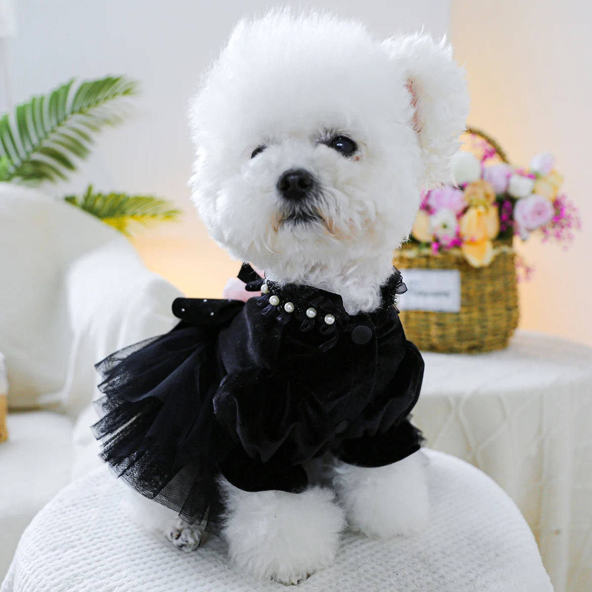 1PC Pet Clothing Dog Cat Spring and Autumn Black Sahara Rose Wedding Dress Suitable for Small and Medium sized Dogs