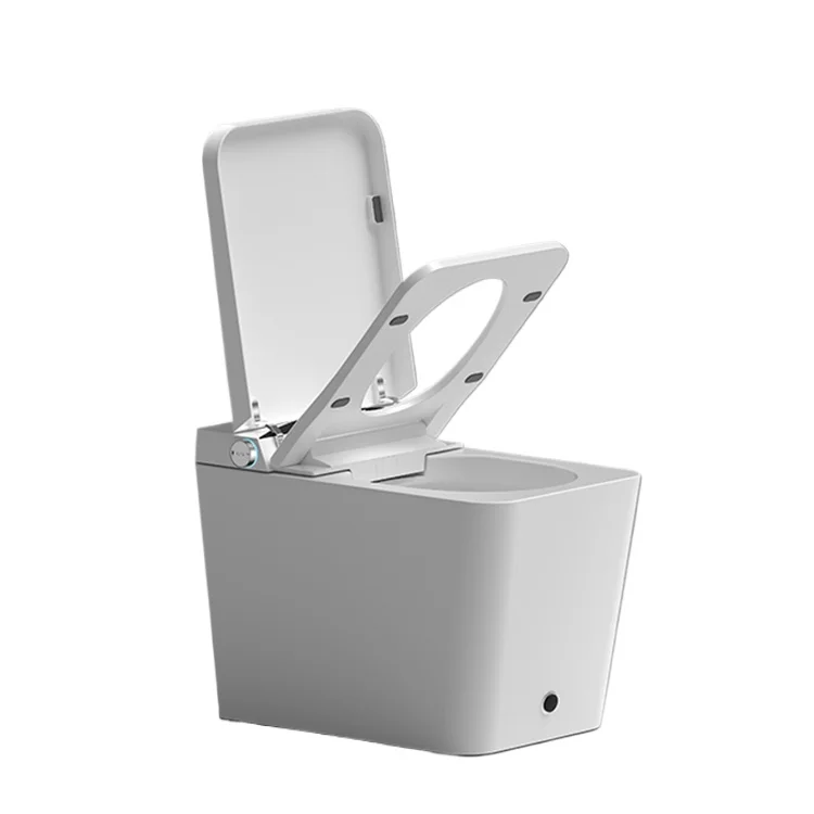 Floor Mounting Smart Newly 2022 Toilet Cupc, S Trap Chinese Girl Go To Toilet Supplier Washroom Wc