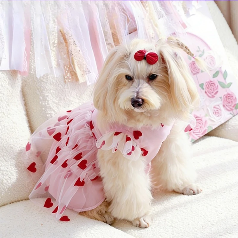 Flocking Heart Dog Dress,mesh Hooded Pet Skirt,spring Autumn Puppy Clothes,outdoor Walking Pet Outfit,universal Dog Cat Apparel