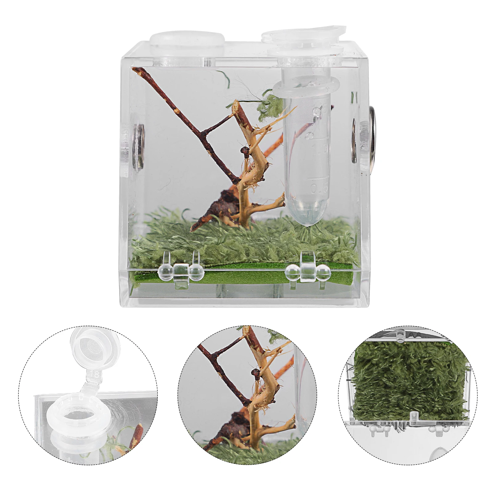 Pet Breeding Box with Dropper Forceps Spider Terrarium Acrylic Reptile Cage for Crabs Turtles Insects Lightweight Ventilated