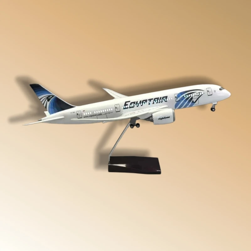 

47 cm EgyptAir B787-10 1:145 Scale Die-Cast Resin Model with Wooden Base and Landing Gear—Collector's Grade Display Piece