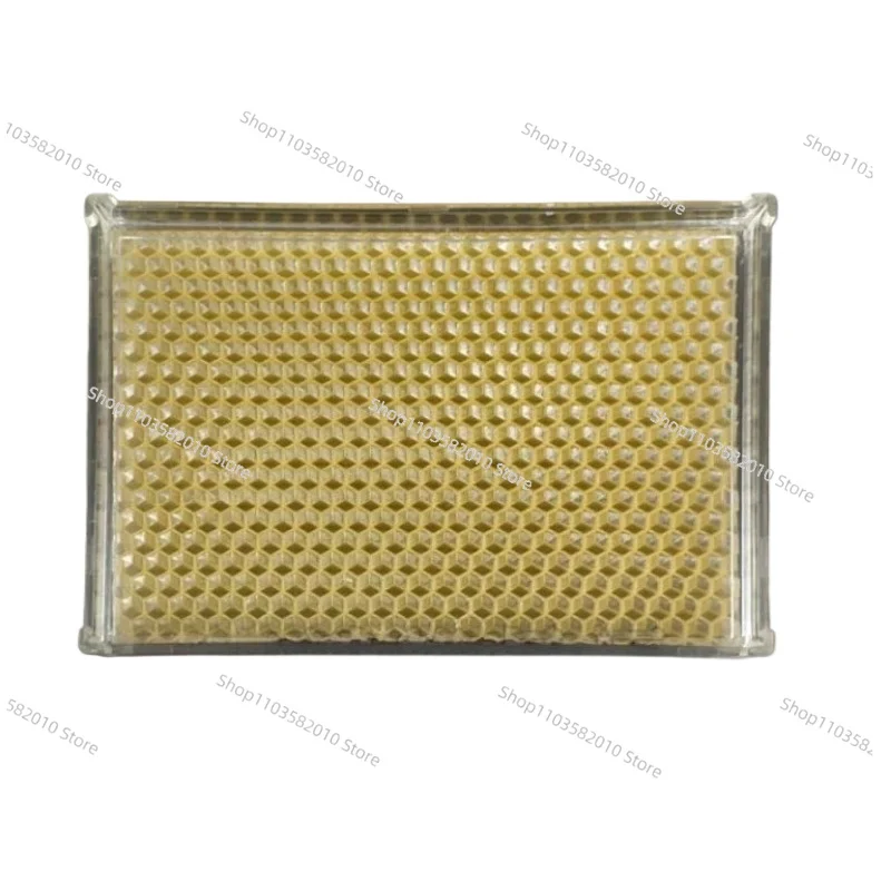 

Food Grade 500g Honey Comb Cassette Box, Beekeeping Tools Comb Honey Container for Beekeeper