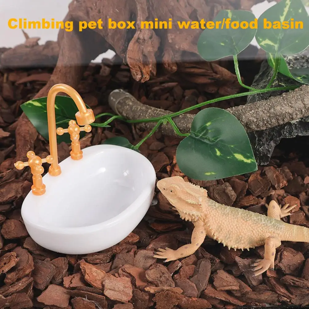 Climbing Pet Water Basin Sturdy Feeding Bowl Durable Feeding Bowls for Lizards Turtles Hermit Crabs Non-tip Over for Spiders