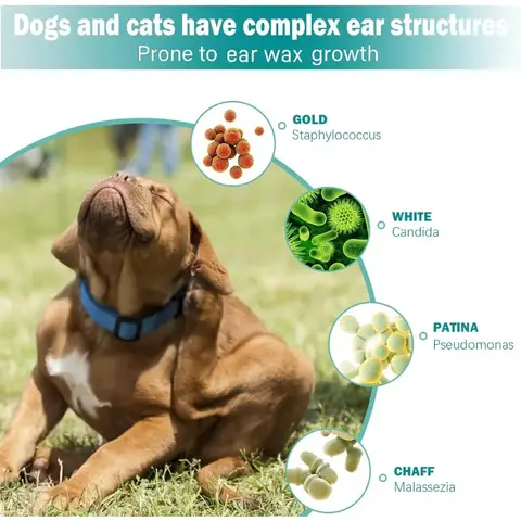 반려동물 귀 청소 물티슈, 고양이와 강아지를 위한 귀 청소 손가락 물티슈, 부드럽고 사용하기 쉬운 귀 청소 패드, 반려동물을 위한 일반적인 진정 오도용품