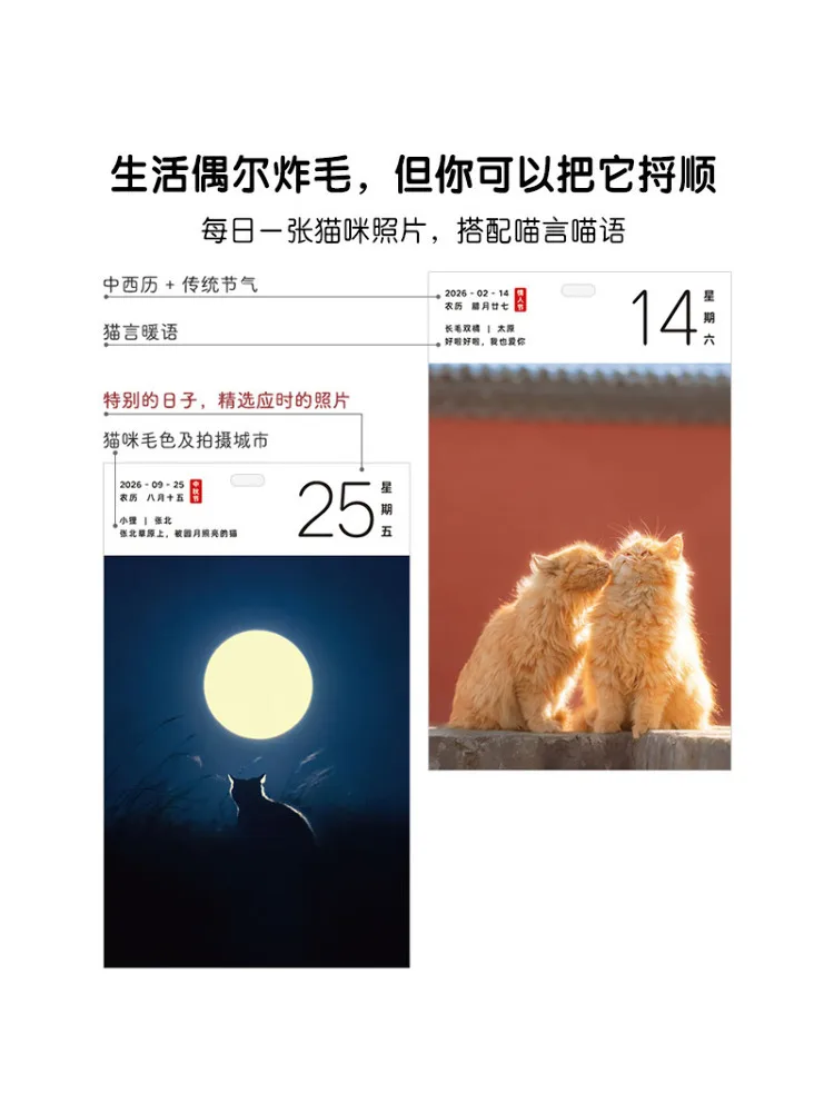 Book-Winshare 2026 Love Cats Worry Free