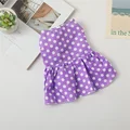 Purple Dot