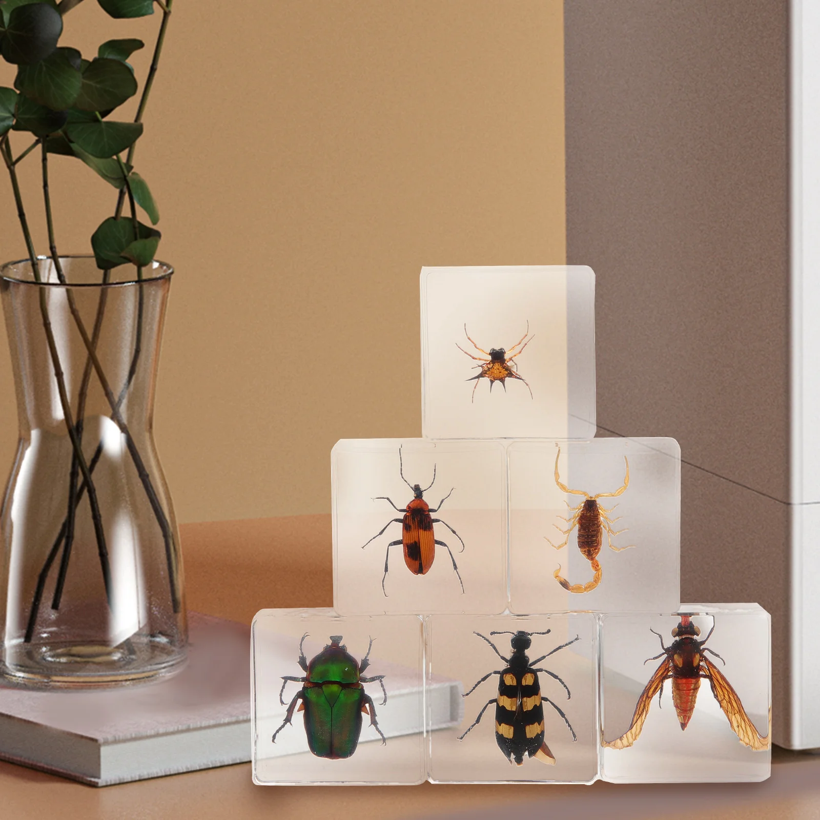 

6 Pcs Decorations Insect Book Town Home Ornaments Statue Delicate Mini Resin Crafts Figures Student