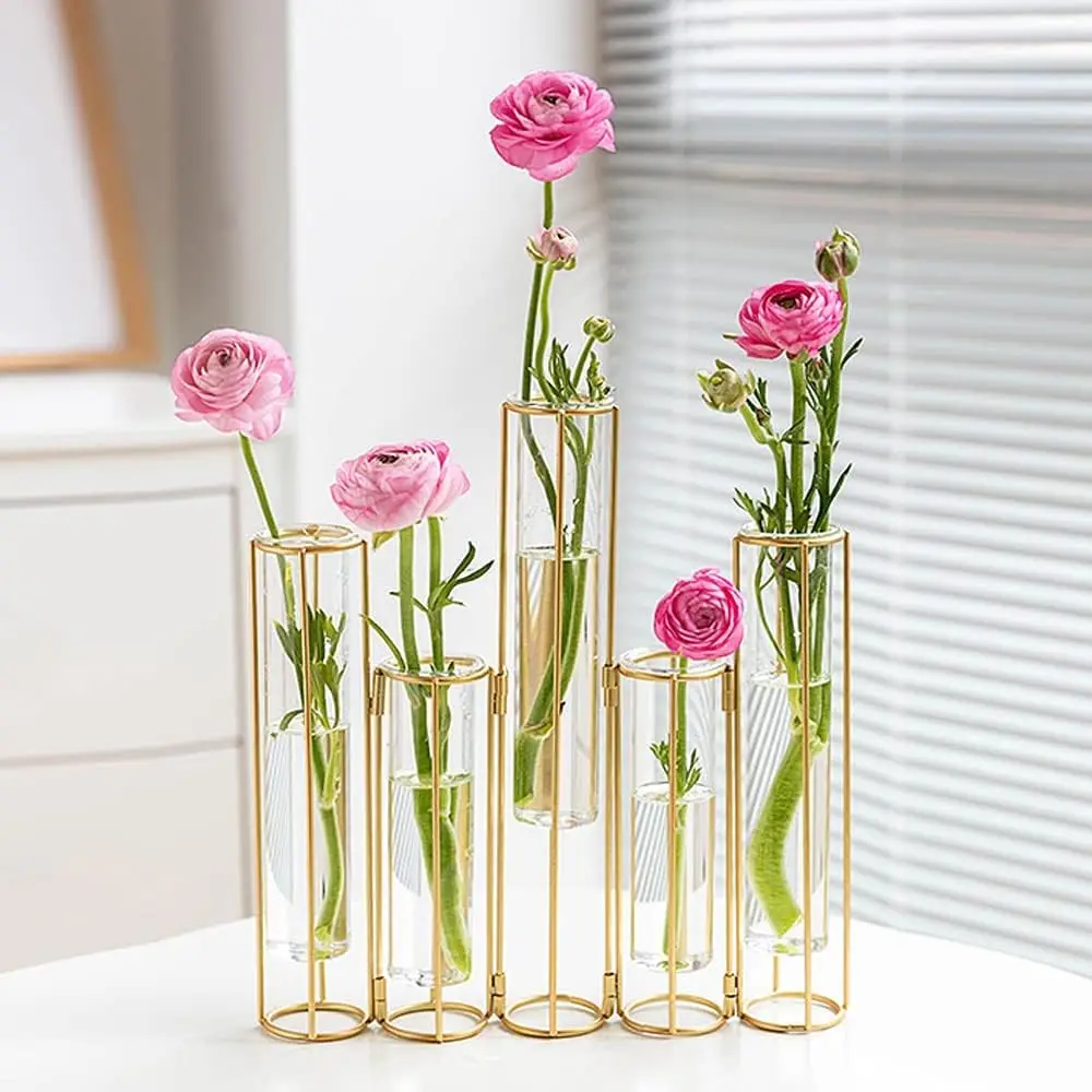 

Bigsee Test Tube Vase For Flowers, Glass Vase With Metal Stand Racks Hydroponic Test Tube Vase Set Of 5, Gold Hinged Plant