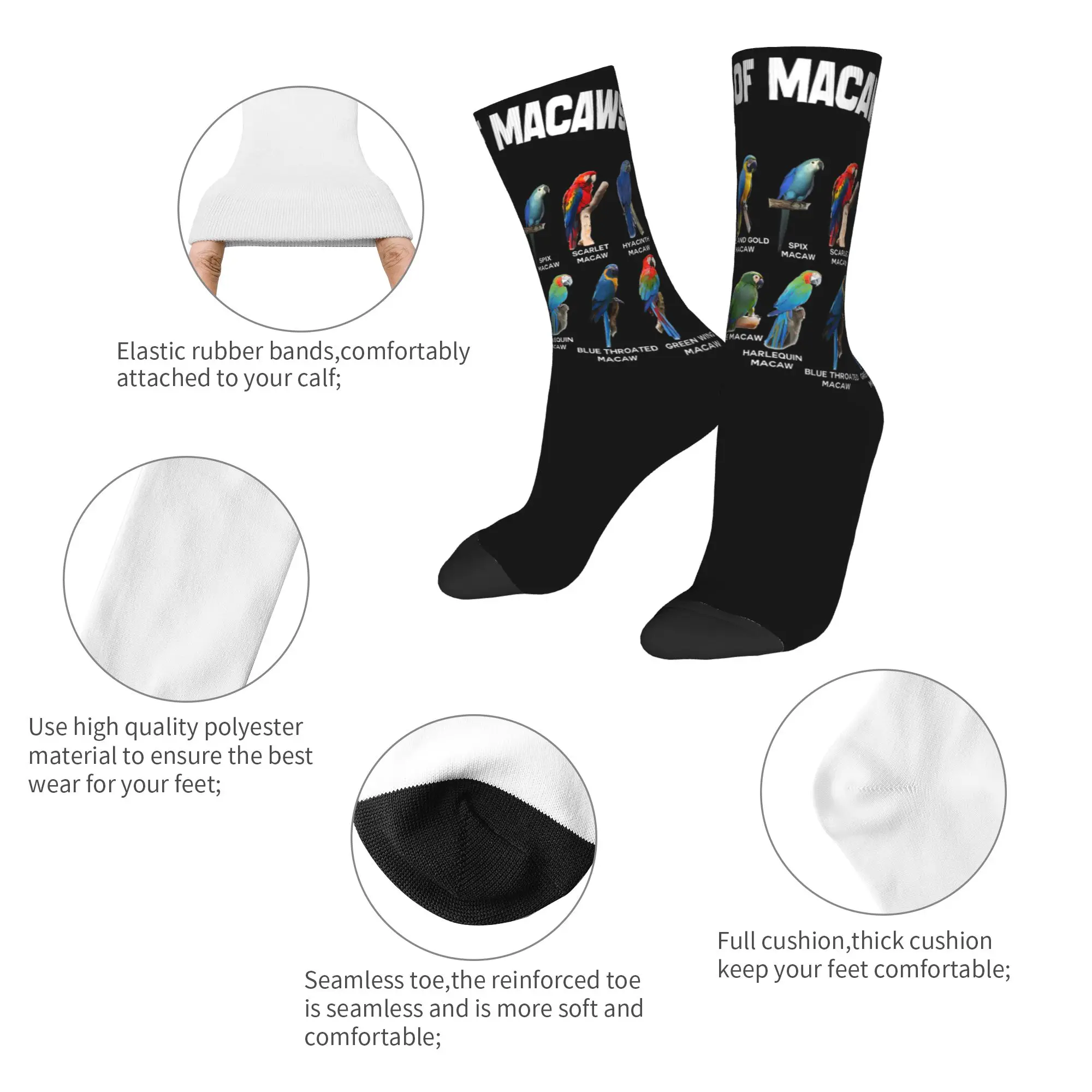 New Male Men Socks Casual Parrots Bird Guide Different Parrot Species of The World Pet Sock Polyester  Sport Women's Socks