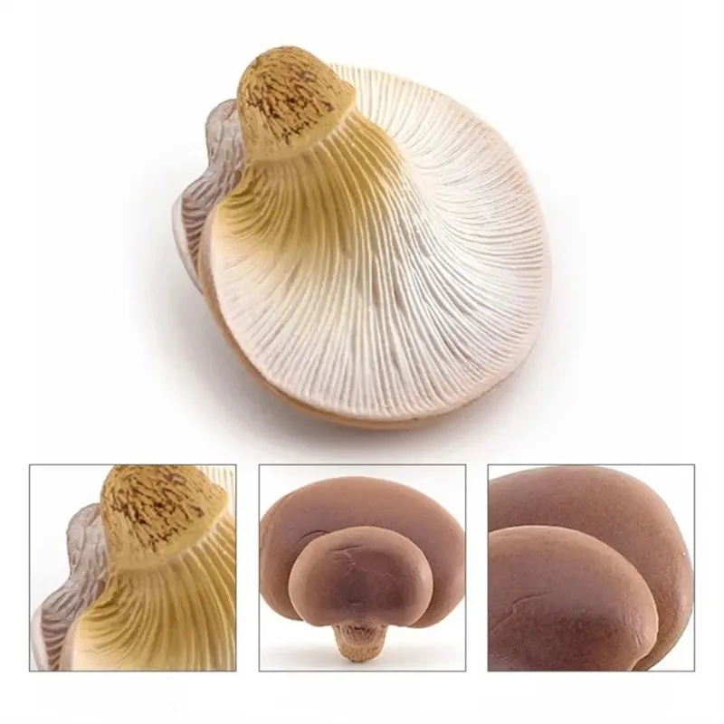 Simulation Vegetable Fungus Model Artificial Mushroom Matsutake Pleurotus Figurine