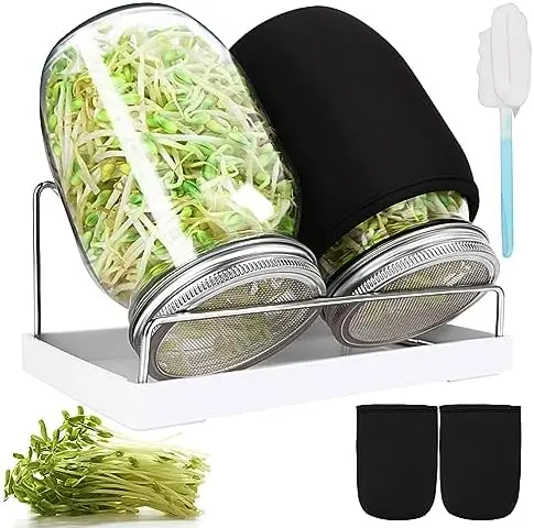 

Набор для проращивания семян 32 унции – 2 банки Мейсона с крышками, чехлами, поддоном и щеткой – для выращивания брокколи, мунг-бобов, люцерны