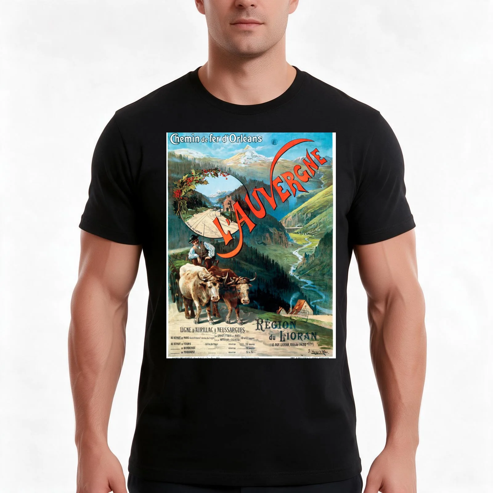 L'Auvergne, French Travel Poster T-Shirt, Summer Casual Cotton Tee, Oversized Streetwear Tops, Vintage Graphic Print