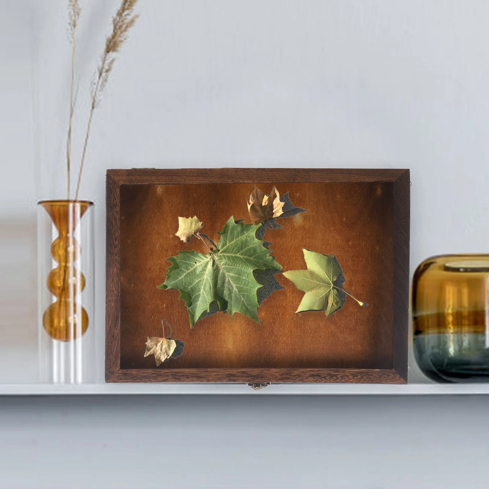 

Specimen Display Case Premium Wooden Acrylic Box Clear Lid Protective Storage Display Holder for Butterflies Jewelry Coins