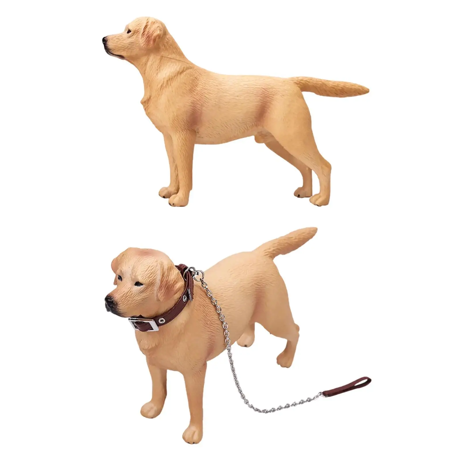 Figurine de chien, accessoires d'action, accessoire Photo décoratif, Statue animale, 1/6