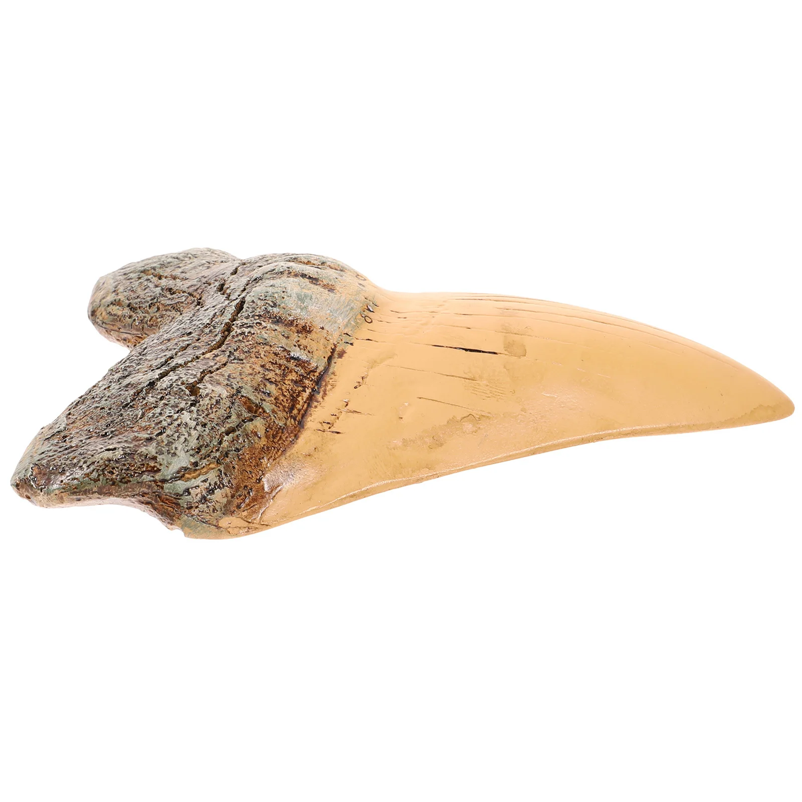 

Retro Decoration Resin Realistic For Collection Education Desktop Ornament Home Crafts Display Gift