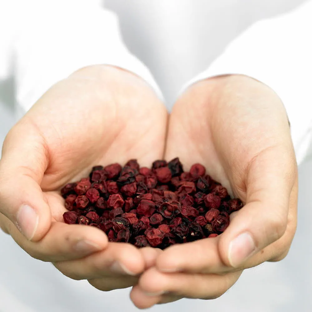 Teard Omiza Concentrate Xegis Blue Drink Base 1.5L