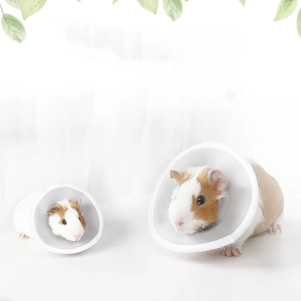 

1pc Pet Protection Ring Elizabeth Collar for Small Breeds Guinea Pig Neck Ring After-injury Care Safe Durable Clean Supplies