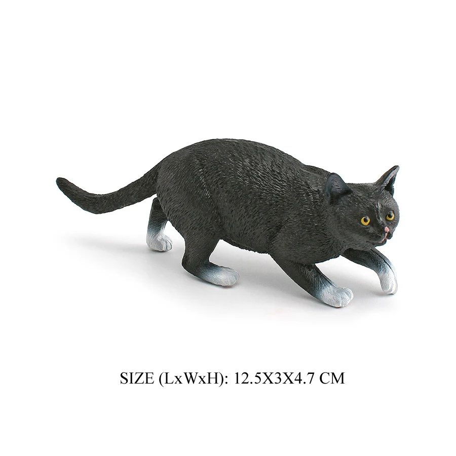 Cat -17