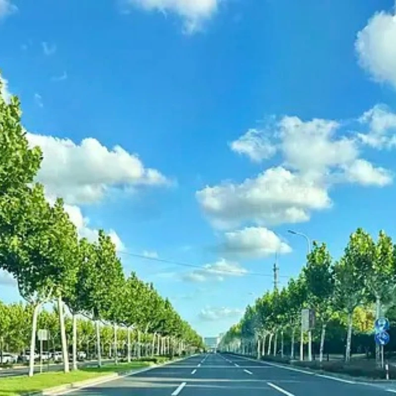 

GEPRC GEP-Vapor-D5 D6 Комплекты рамок Подходит для Vapor Drone Рама из углеродного волокна DIY RC FPV Квадрокоптер 5-6 дюймов Аксессуары Запчасти