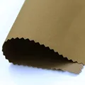Coyote Brown
