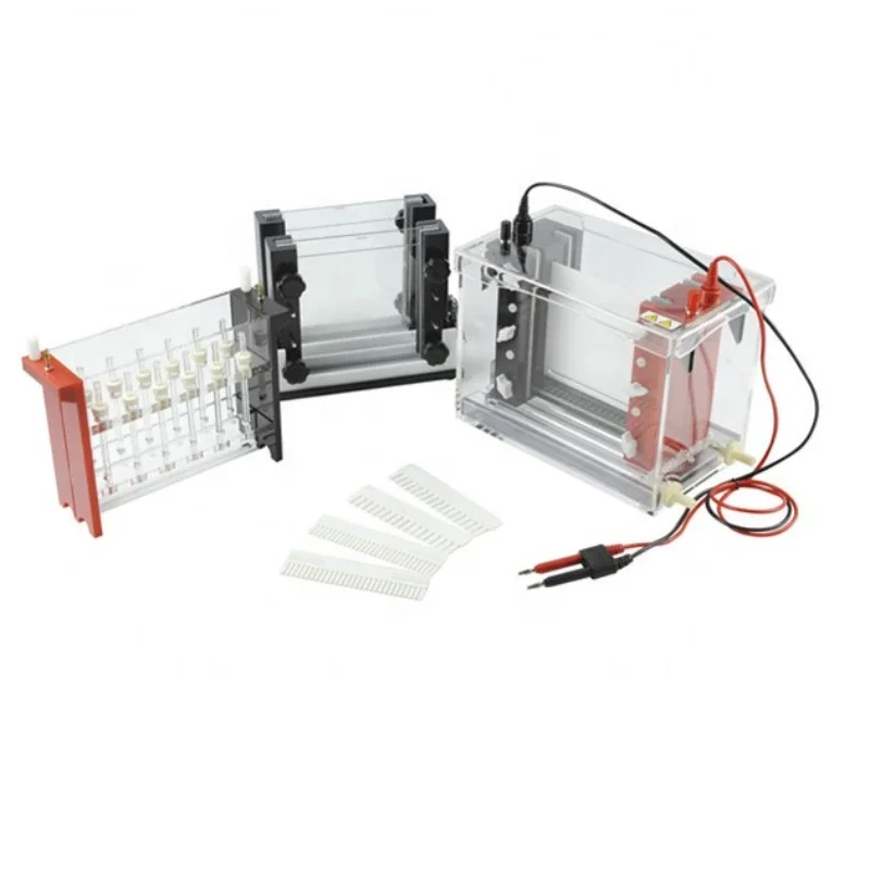 2D Gel Electrophoresis with 120mm glass tube