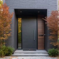 High Quality Exterior Entrance Cast Aluminium Front Main Revolving Door Modern Residential with Glass Pivot Security Entry Doors
