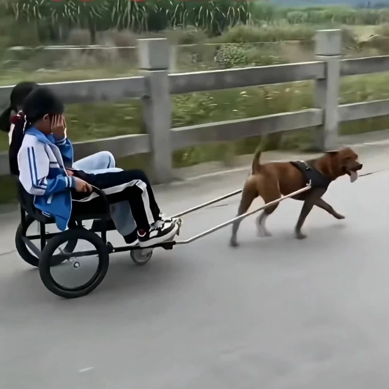 Suitable for 40~ 40 kg dog passenger and cargo dog cart, dog pulling people to sit and walk the dog, Samorabra