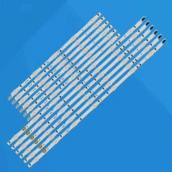 12 Pieces/set 55