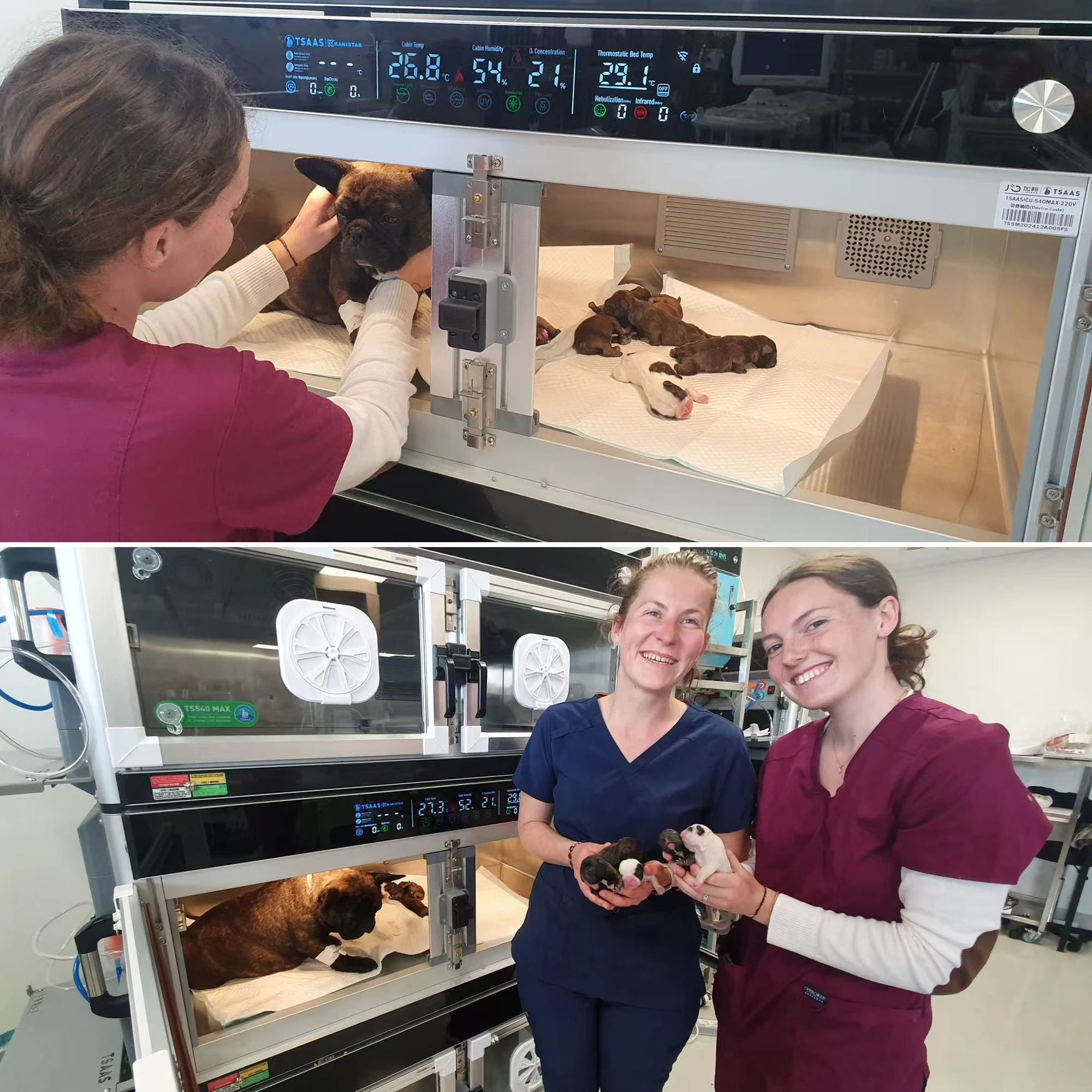 

Portable Puppy Veterinary Incubator Pets ICU Vet Clinic Canine Pet Incubator