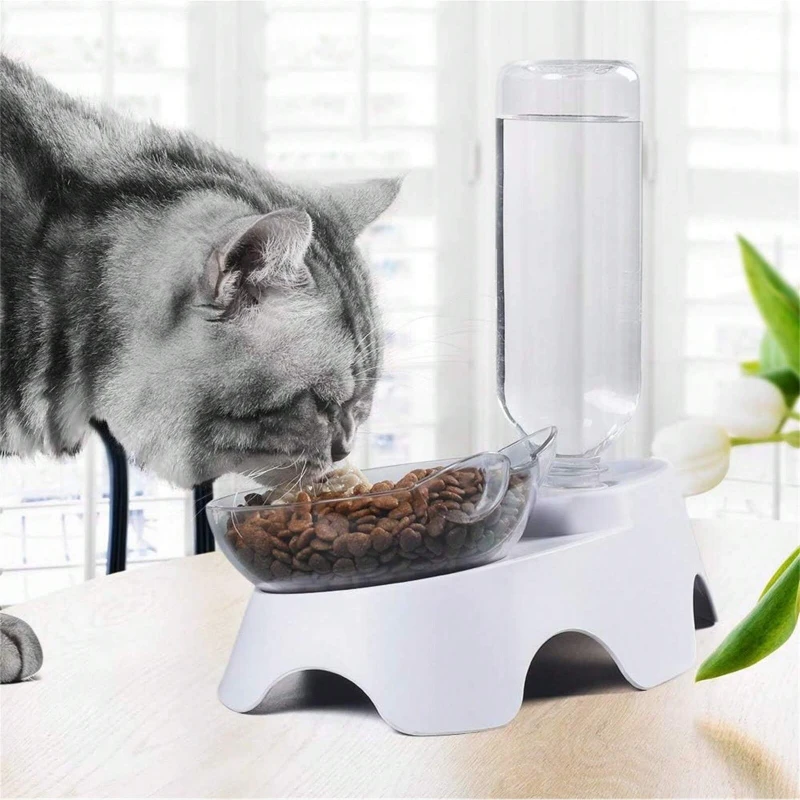 1PC Double Dog Cat Bowls Pets  - Royal Canin Food Medium review and price