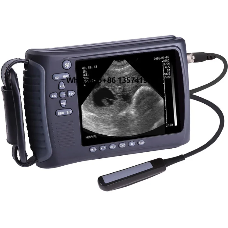 

CE Approved Medical B/W Veterinary Ultrasound Scanner Vet Handheld Dog Cat Ultrasound Machine