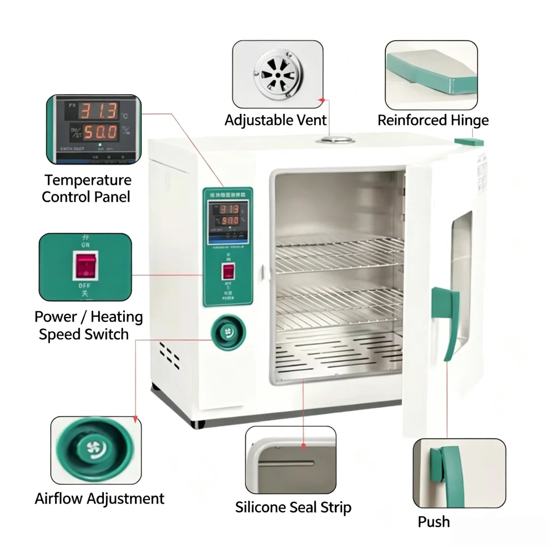 Constant‑Temperature Electric Incubator, Digital Heating Cabinet for Lab Bacteria Mold Cell Culture
