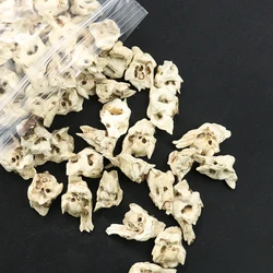 Natural Rough Pig Bone Loose Beads Irregular Charms DIY Woman Man Birthday Bracelet Necklace Earrings Jewelry Making Accessories