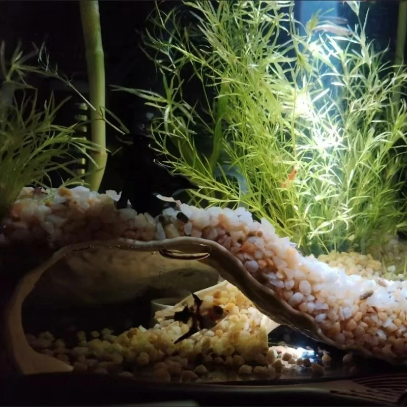 Gua Bawah Tanah untuk Akuarium, Tempat Persembunyian Ikan, Udang, Reptil, Ornamen Lanskap, Dekorasi Akuarium Cetak 3D
