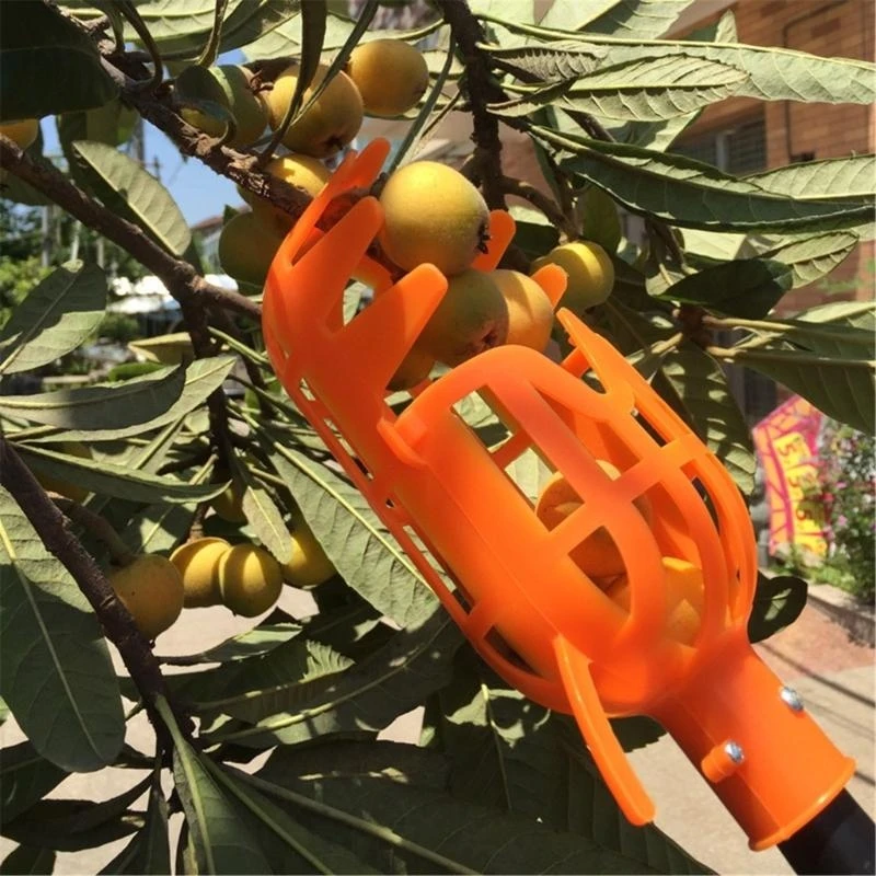 

5asd Fruit Pickers Head Plastic Fruit Collection Tool Fruit Catcher Apples Citrus Pear
