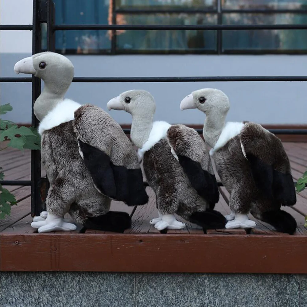 Cartoon Eagle Pelikaan Gier Ooievaar Vogel Gevulde Kinderen Knuffel