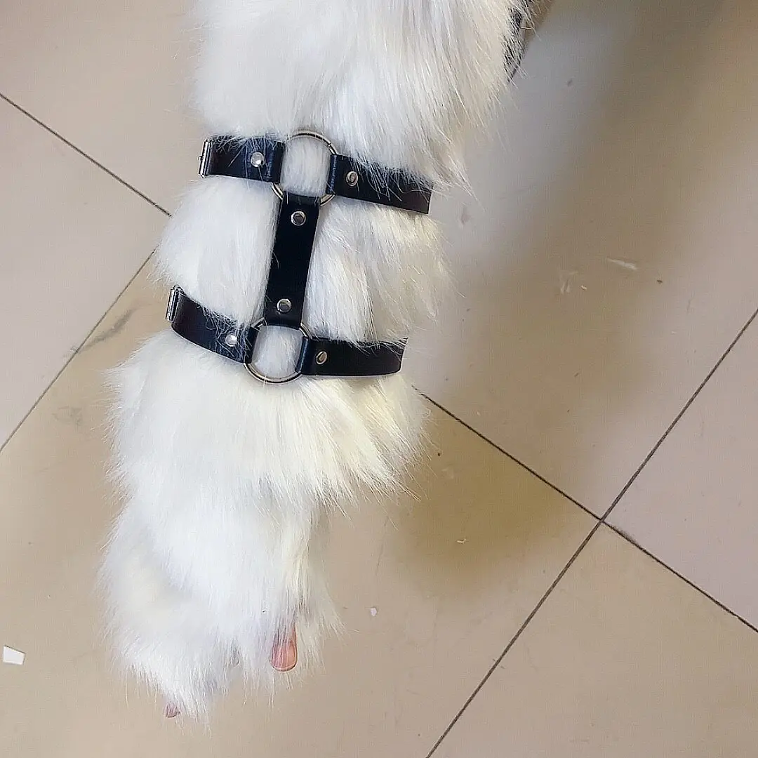 Fursuit Arm Harness  H‑Shape Strap for Furry Costume Japanese Realistic Kig Style Dark Restraint Belt Design Multi‑colors