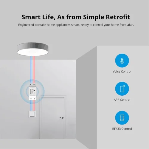 SONOFF 433 RF R2 WiFi Switch, Support APP/433 RF/LAN/Voice Remote Control DIY Mode Works with Alexa Google Home Smart Automation