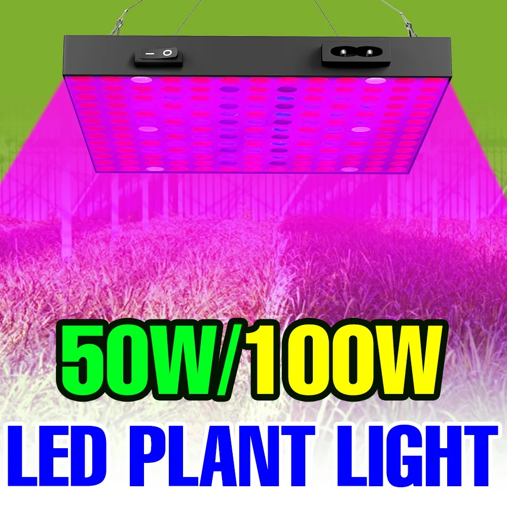 100 واط 50 واط LED تنمو ضوء الطيف الكامل النبات الزراعة المائية زراعة مصباح IR UR للداخلية زهرة الطماطم الخضروات ملء الإضاءة #1