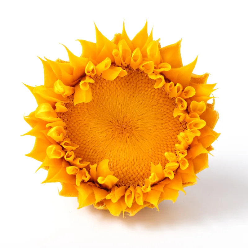 Eternal sunflower 7-8cm, the sunflower that never fades, for wedding, a meeting, DIY essentials