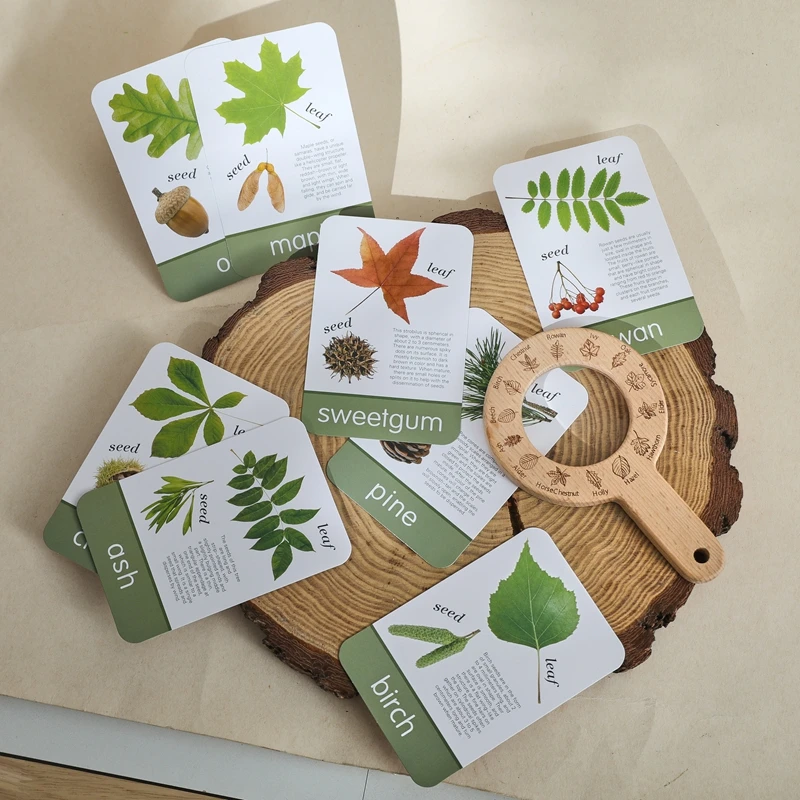 Children's Montessori Wisdom Toys Children's Outdoor Adventure Kits Wooden Leaf Cognitive Magnifying Glasses Children's Gifts
